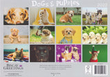 Calendar (Rectangle) - Dogs And Puppies