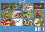 Calendar (Rectangle) - Birds