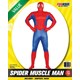 Adults Costume (Deluxe) - Spider Muscle Man