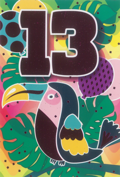 Glitter Party Age Greeting Card - Pink Toucan (13th)