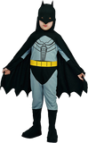Bat Superhero costume