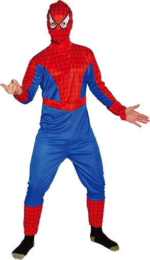 Spider Superhero costume