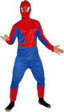 Spider Superhero costume