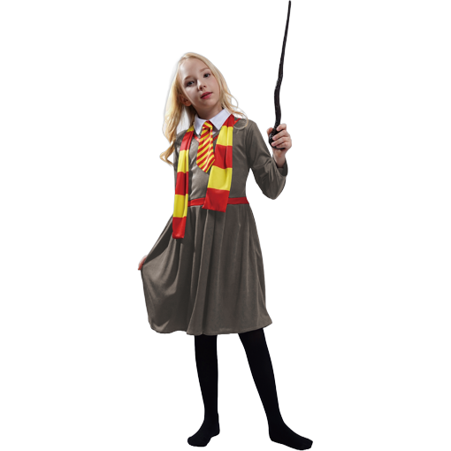 Wizard Schoolgirl costume