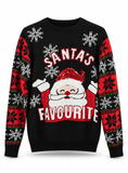 Christmas Novelty Jumper