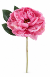 Artificial Peony Stem – 28.5cm