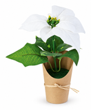 Mini Flocked Poinsettia Pot – 21cm