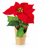 Mini Flocked Poinsettia Pot – 21cm
