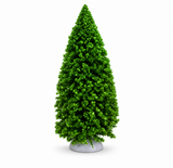 Mini Bristle Christmas Tree 14 cm