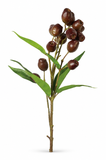 Gumnut Spray – 67cm