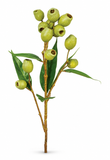 Gumnut Spray – 67cm