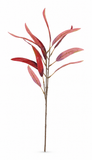 Gum Tree Pick – 40cm
