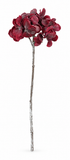 Hydrangea Stem – 49cm