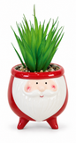 Christmas Ceramic Potted Succulent – 10cm