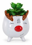 Christmas Ceramic Potted Succulent – 10cm