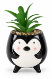 Christmas Ceramic Potted Succulent – 10cm