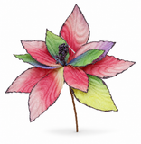 Rainbow Poinsettia Stem – 36cm
