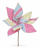 Rainbow Poinsettia Stem – 36cm