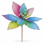Rainbow Poinsettia Stem – 36cm