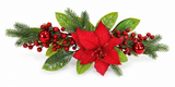 Poinsettia and Berry Table Decoration