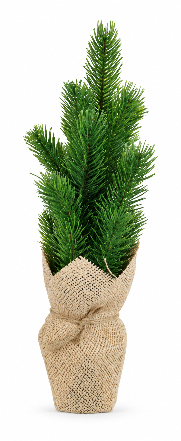Potted Pine Christmas Tree 36 cm