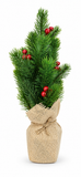 Potted Pine Christmas Tree 36 cm