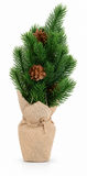 Potted Pine Christmas Tree 36 cm