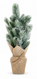 Potted Pine Christmas Tree 36 cm