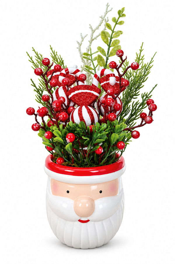 Santa Candy Cane Potted Christmas Arrangement