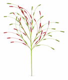 Glitter Wheat Spray – 94cm