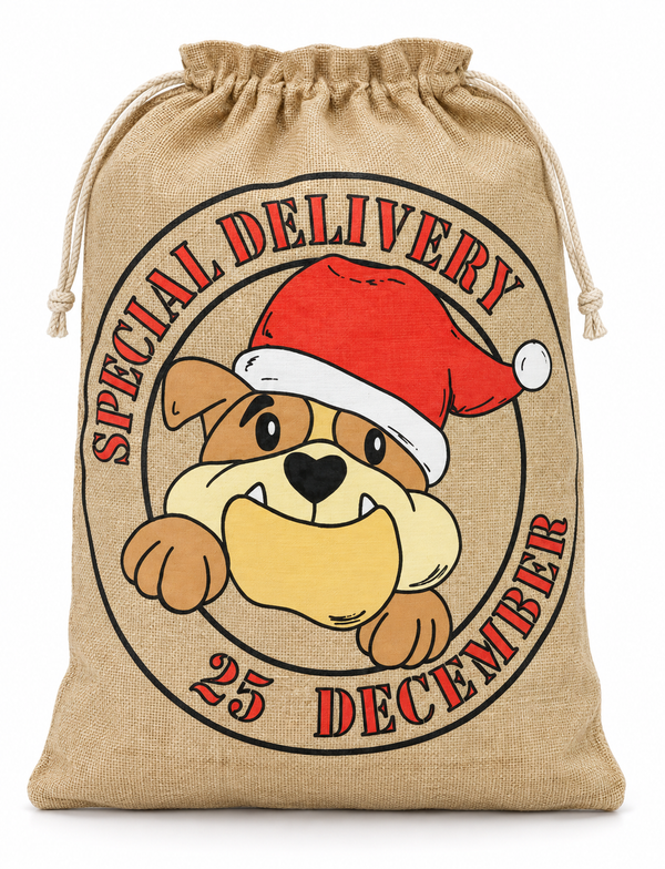 Special Delivery Christmas Character Santa Sack