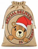 Special Delivery Christmas Character Santa Sack