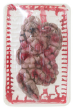Detached Body Parts On Tray Assorted — XH0000094