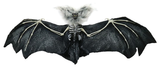 Horror Bat 55cm Assorted — XH5579