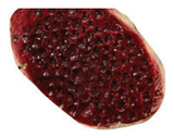 Halloween Fake Wound — XH6690