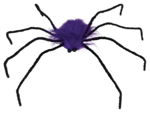 Spider 55cm Assorted — XH7792