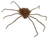Spider 55cm Assorted — XH7792