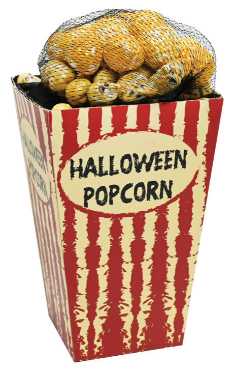 Animated Skull Popcorn In A Box 20cm — XH7832