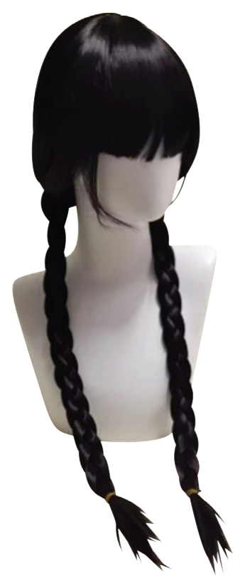 Long Black Double Braid Wig — XH7910