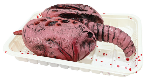 Severed Lungs On Tray 17cm — XH8480