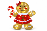 Flashing Christmas Gingerbread Pair
