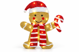 Flashing Christmas Gingerbread Pair