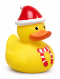 Christmas Duck