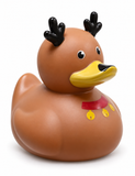 Christmas Duck