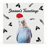 Foiled Pet Christmas Cards – 10 Pack – Budgie