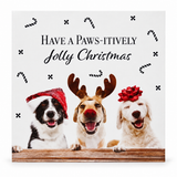 Foiled Pet Christmas Cards – 10 Pack – Three Dogs