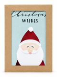 Whimsical Foiled Christmas Cards – 10 Pack – Christmas Wishes Santa