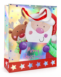 Large Rainbow Shine Christmas Gift Bag