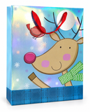 Large Rainbow Shine Christmas Gift Bag