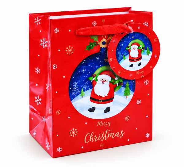 Small Printed Christmas Gift Bag